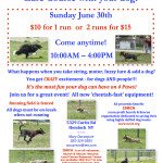 2013-06-30 Lure Coursing Flyer