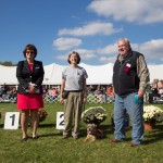 ISRCH receives AKC CAR Grant