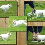 Lure Course 11 5 13-p004