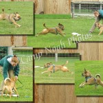 Lure Course 11 5 13-p007