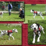 Lure pages two 11 5 13-p004