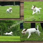 lure pages five 11 5 13-p004