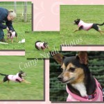 lure pages five 11 5 13-p007