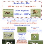2014-05-18 Lure Coursing Flyer